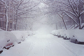 Heavy amounts of slow cover the streets in Park Slope, Brooklyn