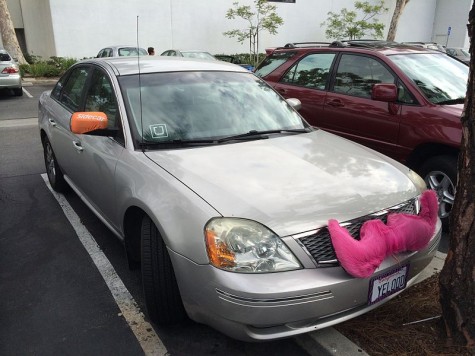Opting for the safe ride