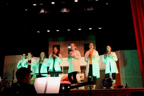Theater Company performs ‘Little Shop of Horrors’, reminds audience ‘Don’t Feed the Plants’