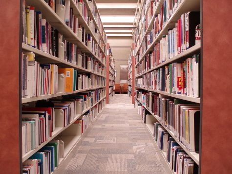 Teen librarian sets summer activities