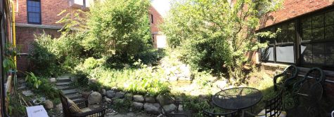 Why did the chickens cross into the courtyard?