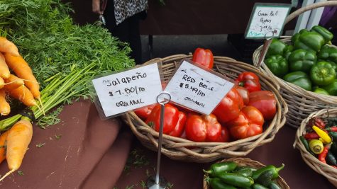 Peppers along with a wide variety of other vegetables are available at the market. Although it was not required, the peppers were organic.