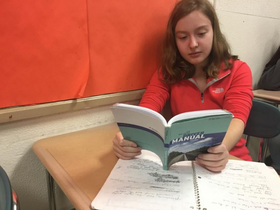 Maddie Brennan. sophomore, studies the driver manual in preparation for the drivers’ education state exam. 