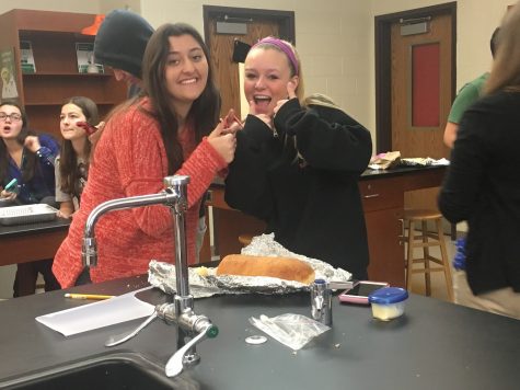 Freshmen biology class competes in bake-off lab