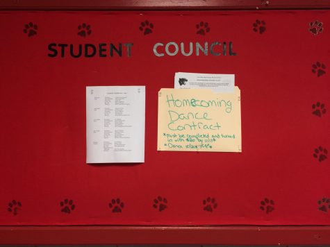 Student council puts on successful homecoming dance