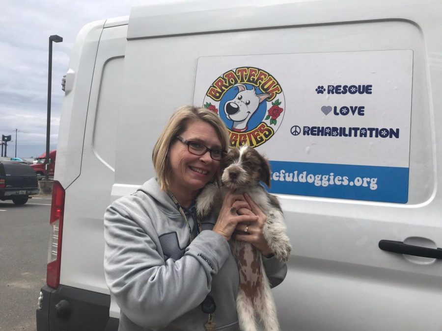 Handfuls of dogs arrive at the transport site, the Vince Lombardi Service area, as Bow Wows and Meows representative Robyn O’Hagan poses with one of her foster puppies. Robyn and her family have been fostering dogs in their home and searching for families to adopt them, since the fall of 2016. 