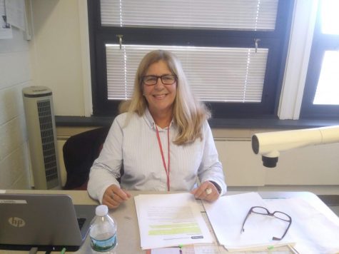 New ESL teacher joins high school staff
