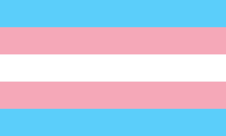The+colored+stripes+on+the+transgender+flag+represent+the+traditional+gender+colors+for+babies%2C+while+the+white+represents+people+who+are+transitioning.