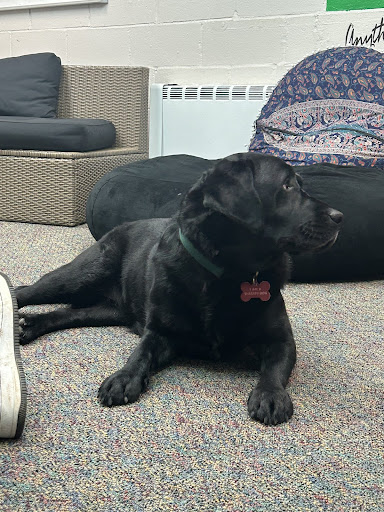 Pictured: Thor the therapy dog hanging out with students in the wellness center on Dec. 16.