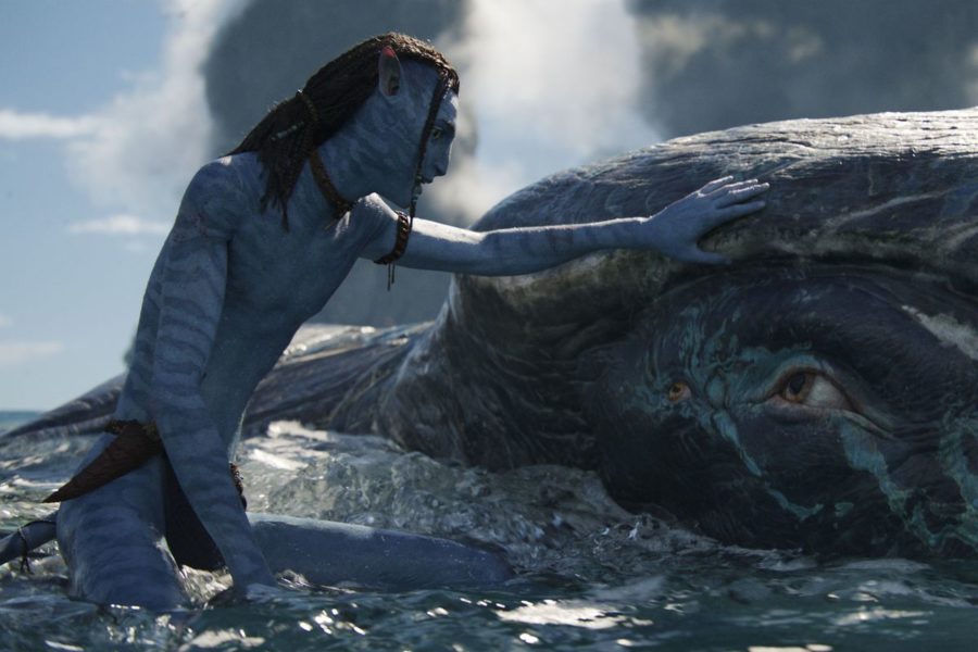 Why ‘Avatar: The Way of Water’ is the Greatest Film To Enter the Market Since 2009