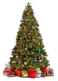 Real or Fake? The Christmas Tree Debate